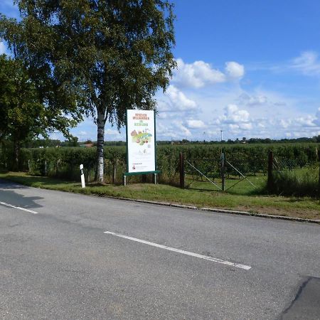 Fewo Im Alten Land Hamburg Exterior photo